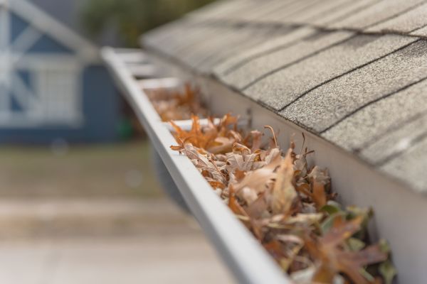 Leaf Barrier Installation in Mount Vernon